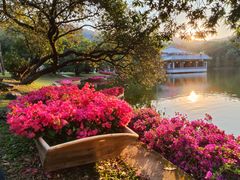 -广州市白云山风景名胜区