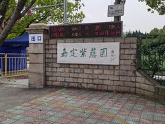 -嘉定紫藤园