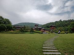 -习家池