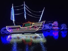 -金卉庄园