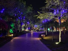 -惠州金海湾嘉华度假酒店