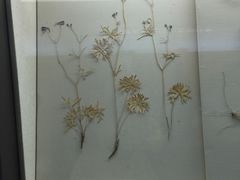-内蒙古博物院