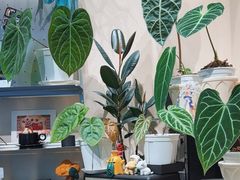-Dogi&kiki Coffee(中心商务大厦店)