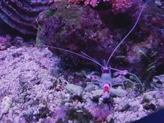 -鸥迪足道(老虎滩店)