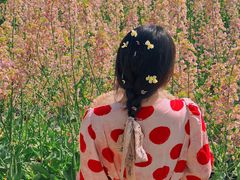 -三圣花乡旅游区