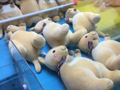-万达广场(上虞店)