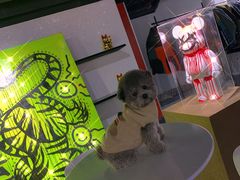 -COPLUSDE炭烤精酿餐厅&咖啡豆仓(MIX320店)