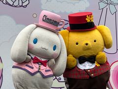 -安吉Hello Kitty乐园