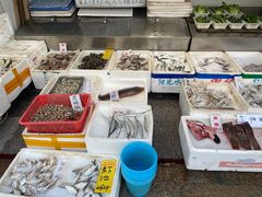 零售区-新享乐海鲜(翠华路店)