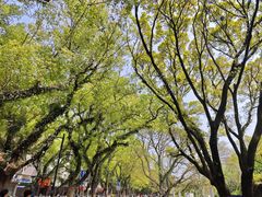 -桂林两江四湖景区