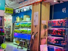 -宝鸡东道花鸟鱼虫市场(吉利花园商场店)