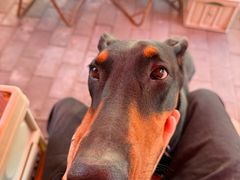 -Catch Bagel(芳草地店)