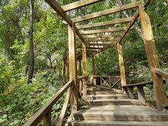 -大岭沟猕猴桃谷风景区