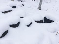 -钟山体育运动公园