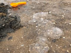 -东疆理想海岸沙滩景区