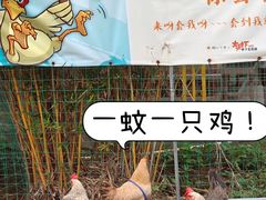 -粮心小农·大头虾亲子生态园(长发店)