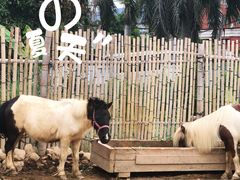 -泉州海丝野生动物世界