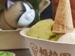 -极拉图·现制冰淇淋(大卫城店)