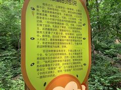 -大岭沟猕猴桃谷风景区