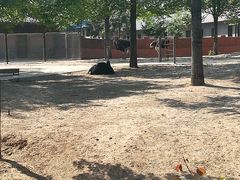 -辛玛王国游乐园