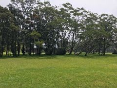 -夏威夷火山国家公园