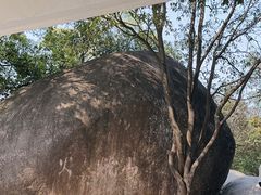 -火炉山森林公园