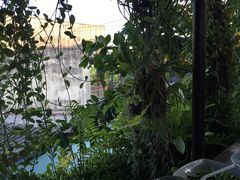 -自然餐厅(Phuket)