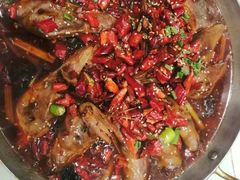 -天天鱼港·海鲜·鲅鱼水饺·招牌烤鸭(黄骅店)