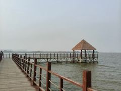 -瑶湖湿地自然保护区