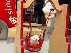-DQ·蛋糕·冰淇淋(五角场万达店)