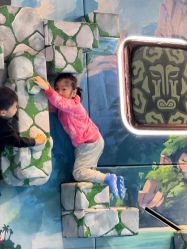 -卡通尼·Safari非洲探索乐园·生日会(金桥国际商业广场店)