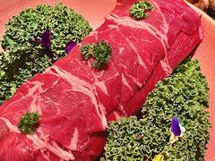 -芸山季·云南野生菌火锅(南翔印象城MEGA店)