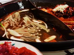-朱光玉火锅馆(正弘城店)