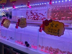 -中环花鸟鱼虫市场