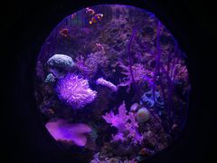 -南昌海洋公园