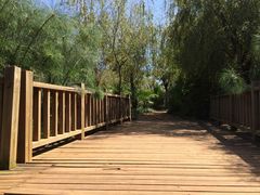 -五甲塘生态湿地公园