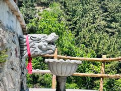 -金龙寺国家森林公园