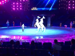 -珠海横琴长隆《卡卡虎奇遇记》