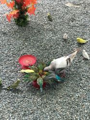 -萌宠亲子动物乐园(槐房万达店)