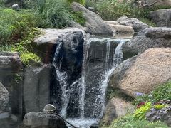 -罗红摄影艺术馆