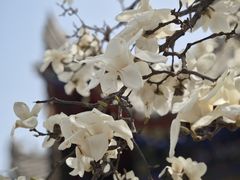 -西安市广仁寺
