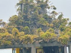 -玄武湖景区-情侣园游乐场