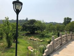 -龙寺生态园