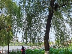 -济南大明湖景区