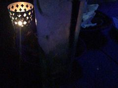 -MARU玛露音乐餐厅(大学路店)