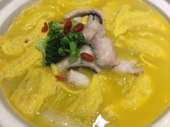 -刘胖子家常菜·蹄花焖藕(中南店)