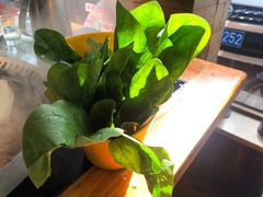 -三里屯土灶炖公鸡地锅鸡(江东店)