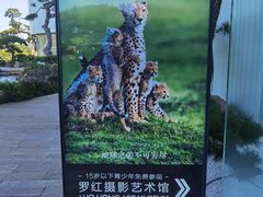 -罗红摄影艺术馆