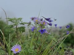 -白草畔自然风景区