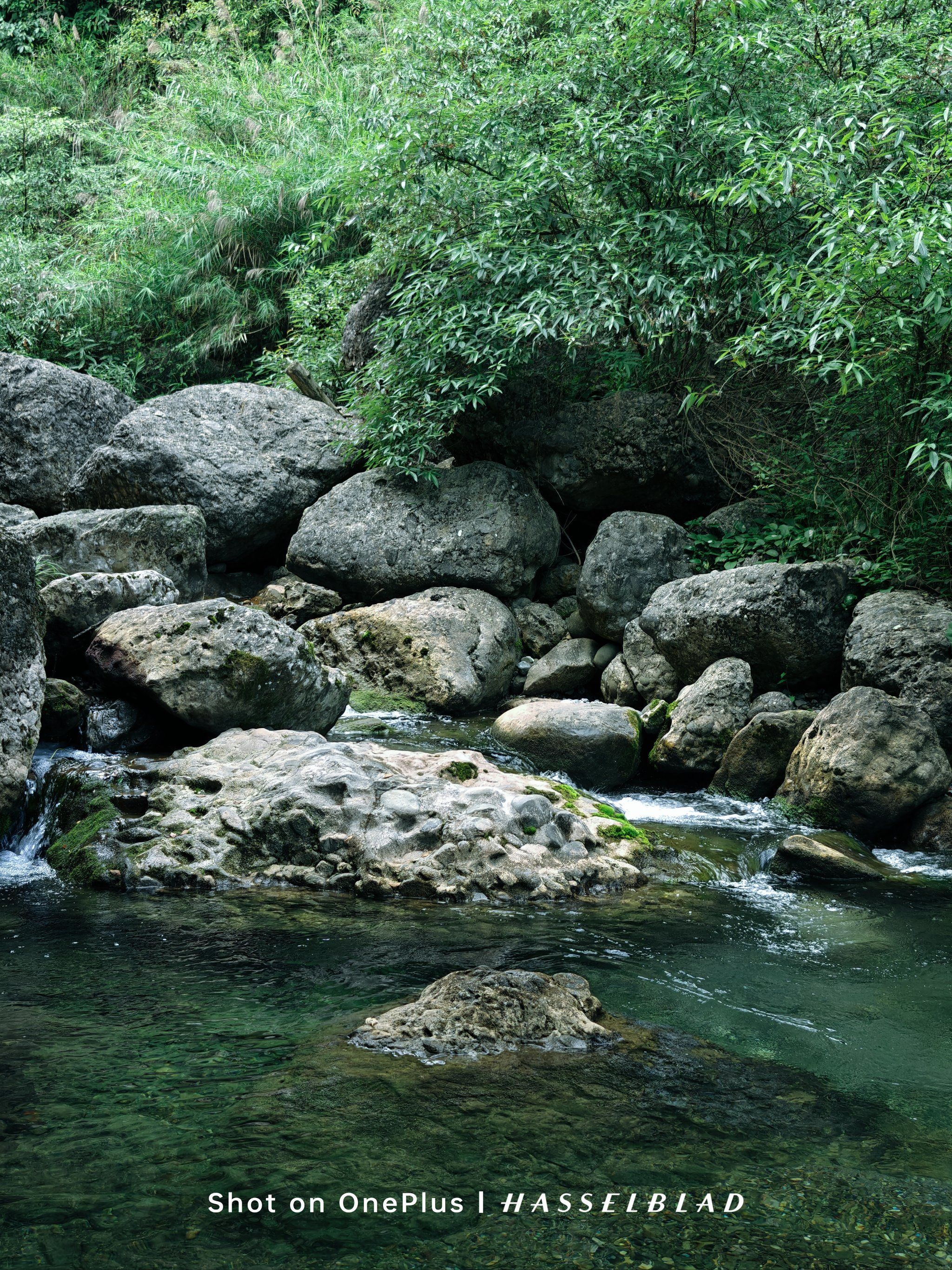 溪水潺潺伴我行